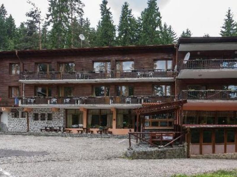 1 Bedroom Classic Single Suite