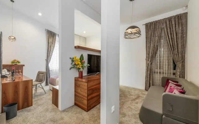 Deluxe Single Suite with park view